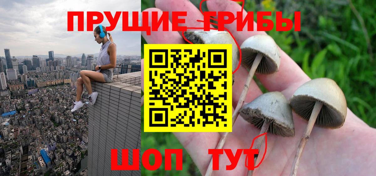 Югорск  где найти наркотики  Вход с VPN  Галлюциногенные грибы Psilocybine cubensis 