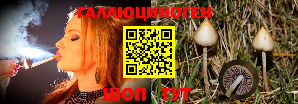 Псилоцибиновые грибы Magic Shrooms Югорск